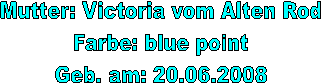 Mutter: Victoria vom Alten Rod
Farbe: blue point
Geb. am: 20.06.2008